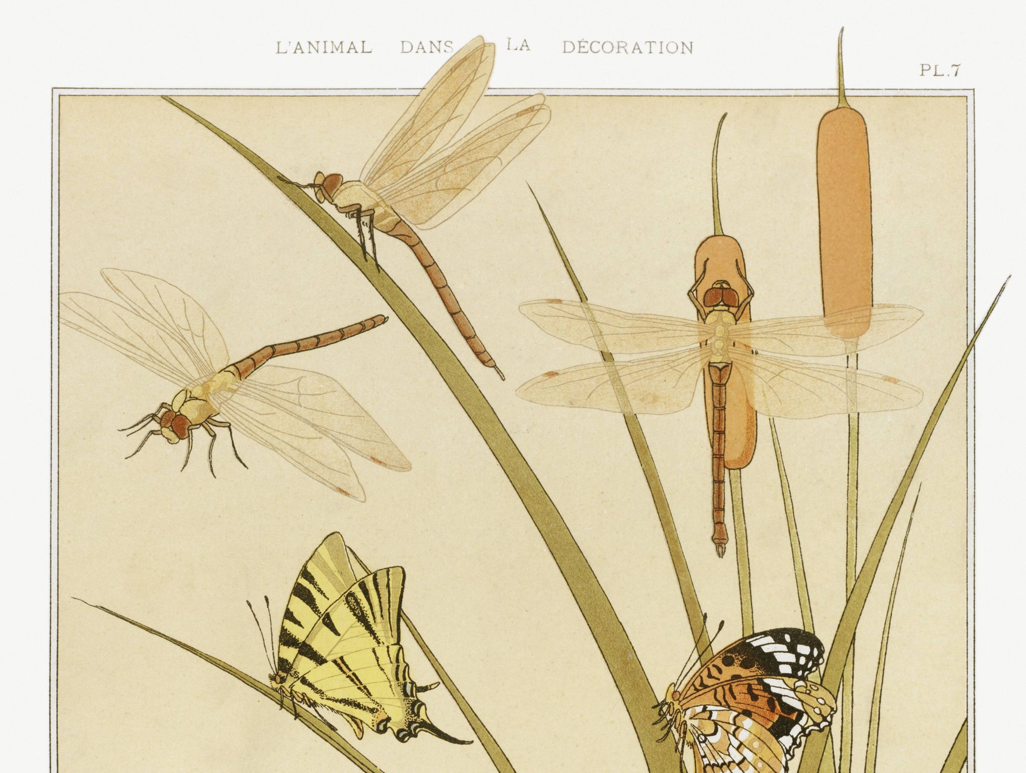 Poster “Butterflies”, after an Art Nouveau lithograph from 1897