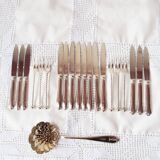 Swedish Fruit Cutlery Set with Sprinkling Spoon (21 Pieces)