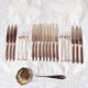 Swedish Fruit Cutlery Set with Sprinkling Spoon (21 Pieces)