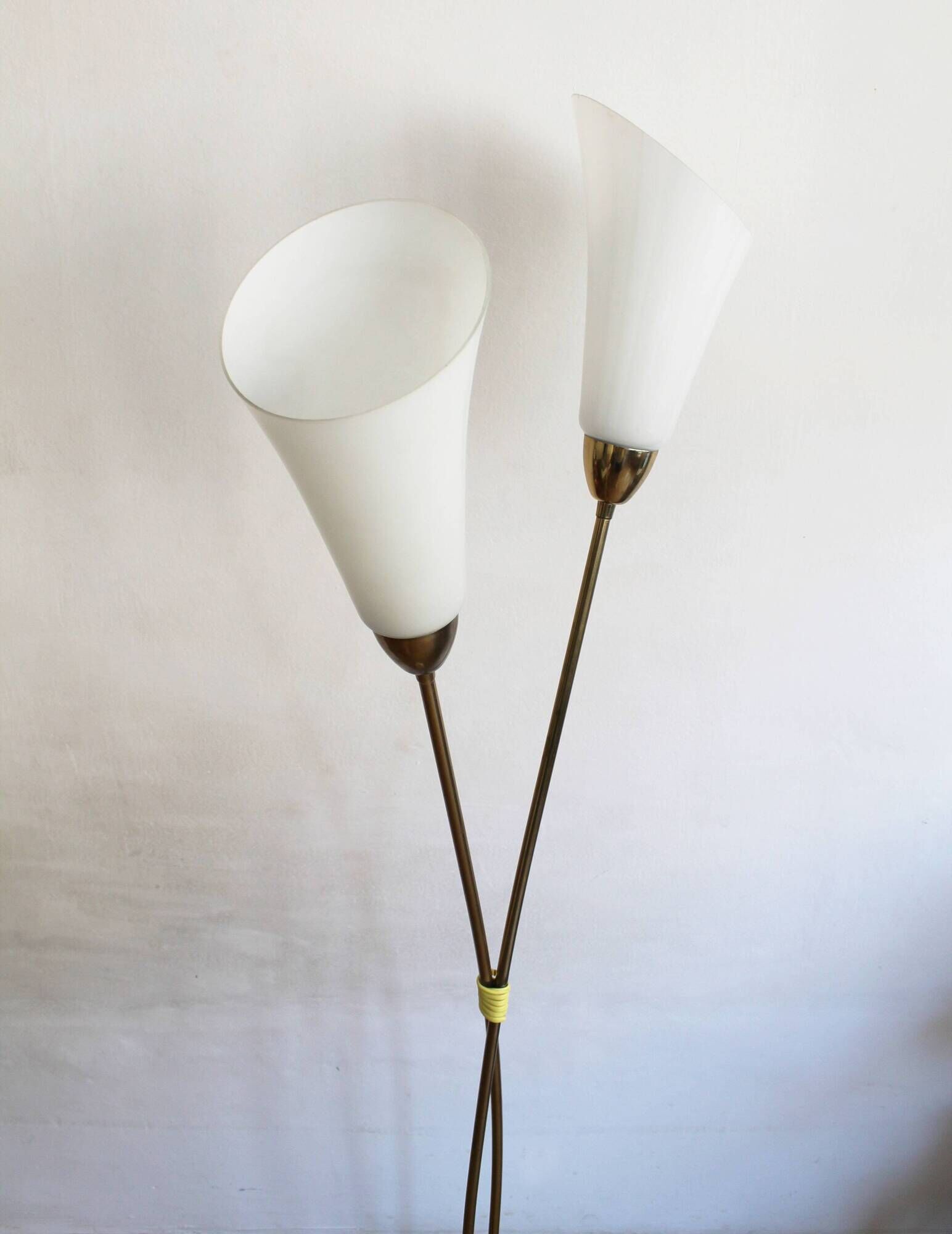 Sculptural Czech Floor Lamp with Twin Milk Glass Shades, 1960s