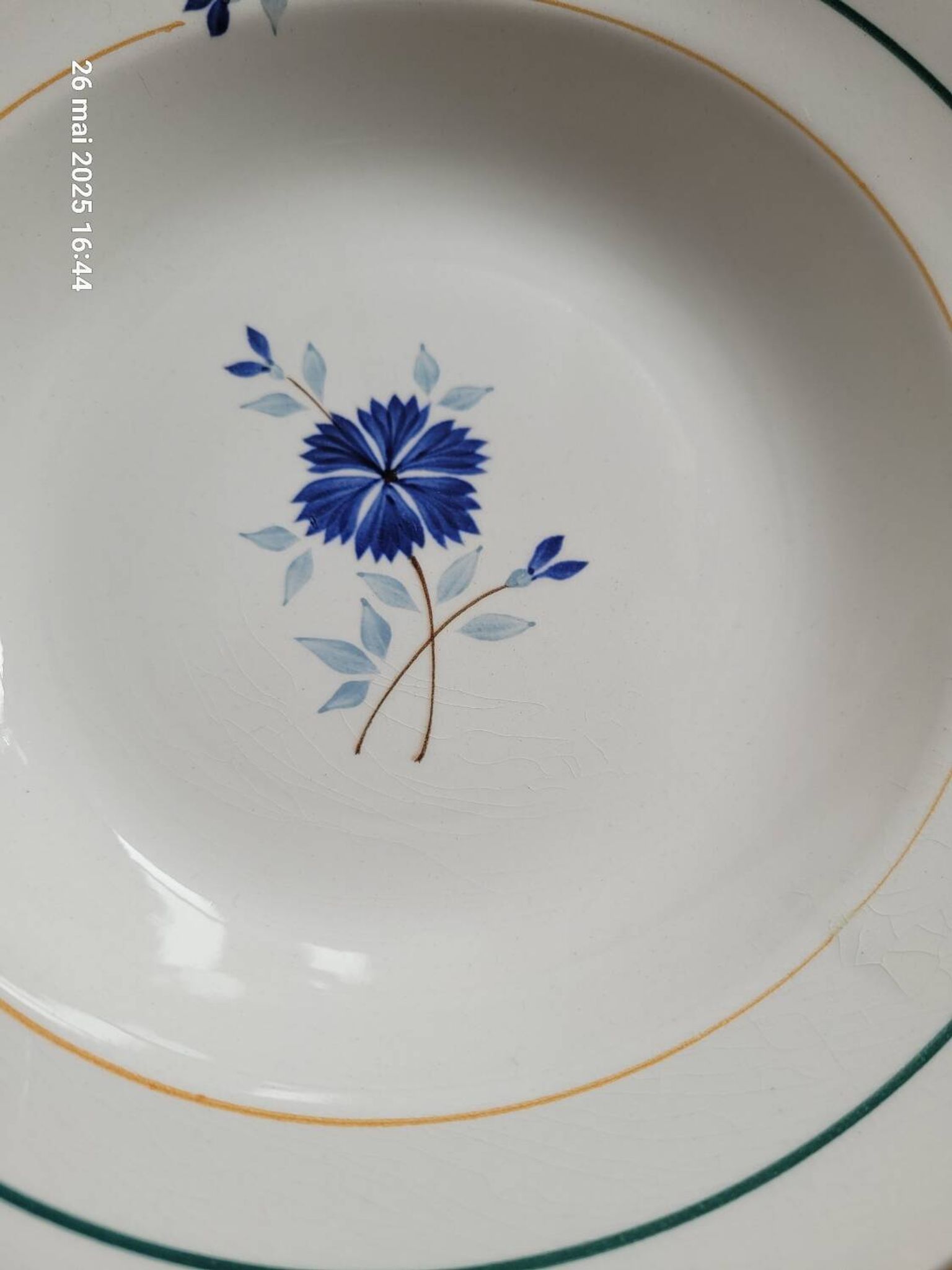 6 Moulin des Loups plates