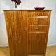 Mid Century Retro Teak Gentleman’s / Bachelor Wardrobe by Austinsuite 1960