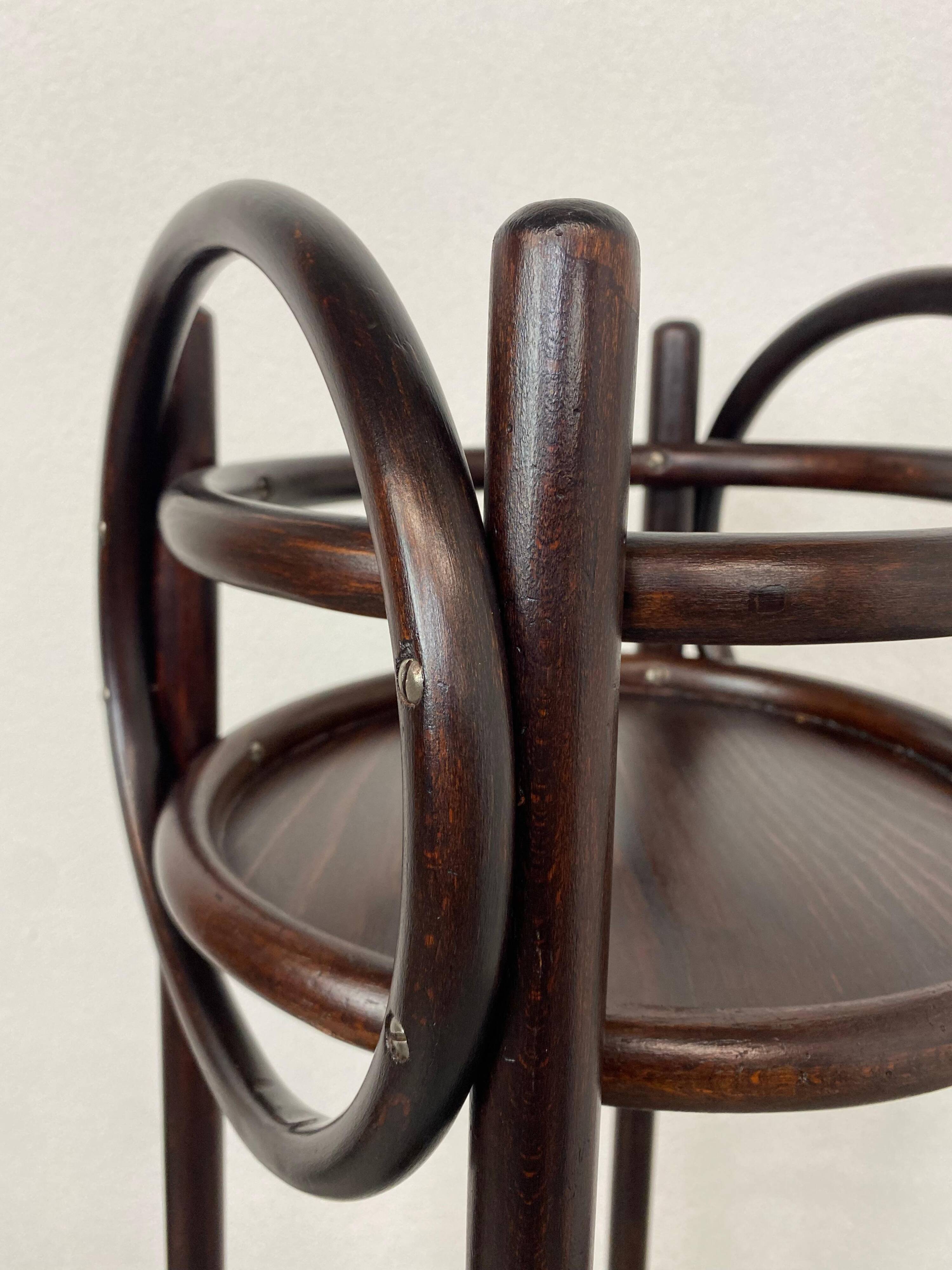Plant supports in bent wood by Thonet