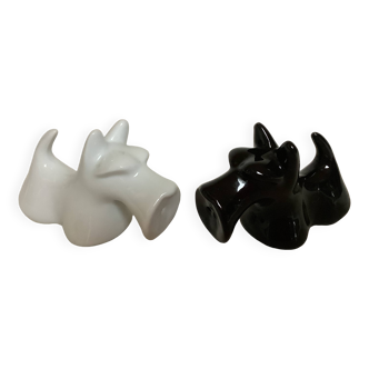 Salt and pepper black and white dogs