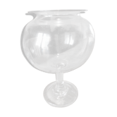 Leech jar glass 19th