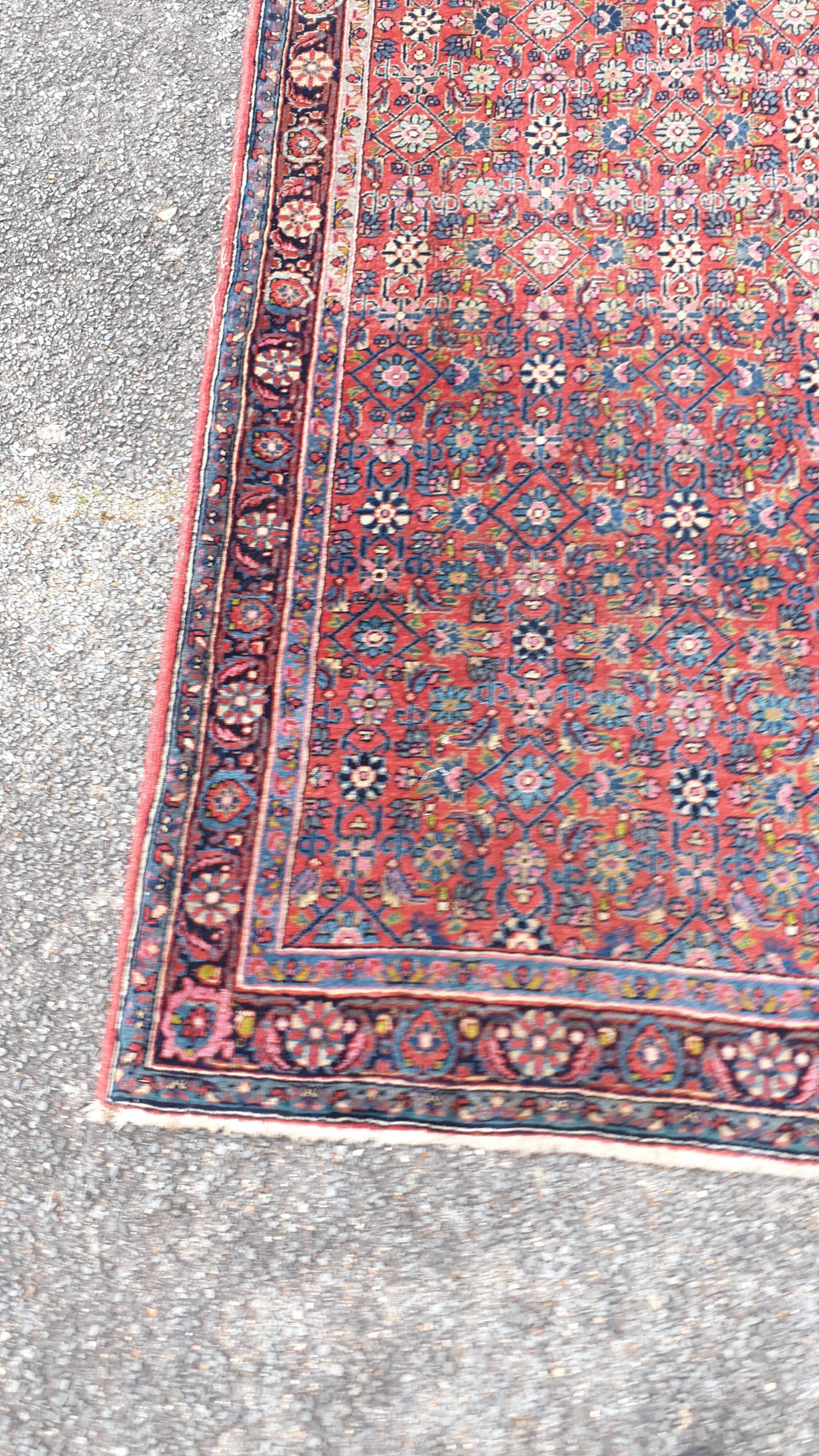 Bidjar carpet