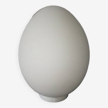 Egg lamp