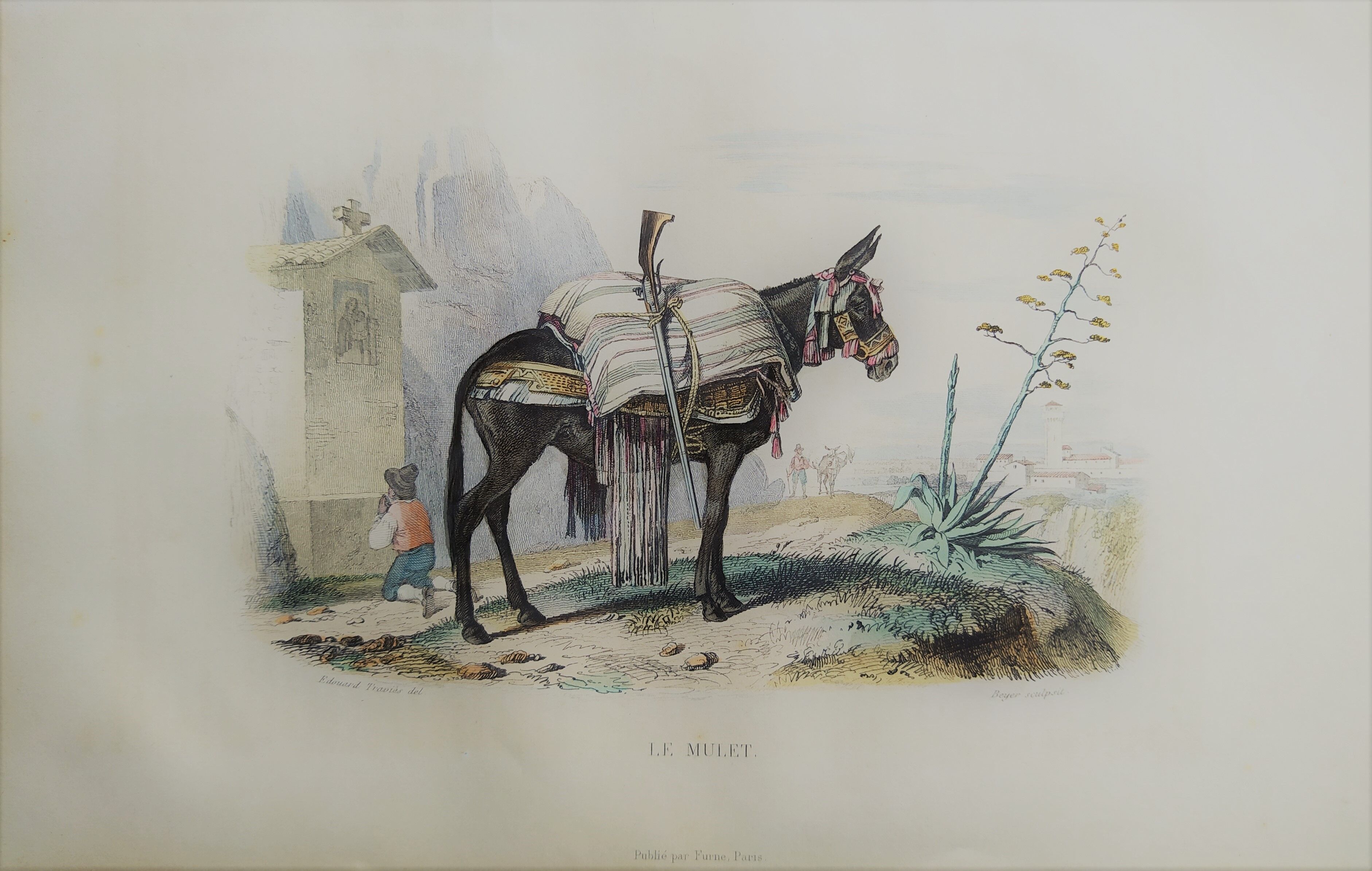 Original zoological plank "the Mulet" Buffon 1840