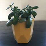 Cache pot 50's yellow