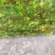 Green landscape signed in 2008