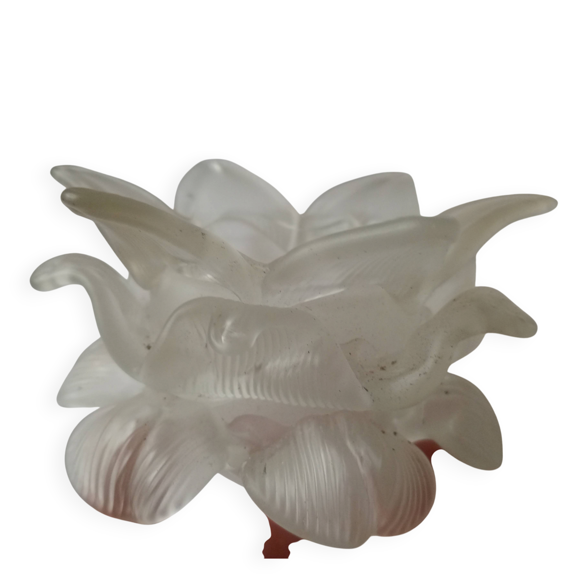 Grande Tulipe ancienne en forme de fleur "rose" - verre dépoli