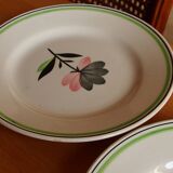 Digouin dessert plates perrette model