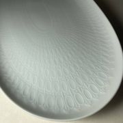 Plats en porcelaine