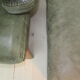 Armchair and footstool - green leather - 1960s