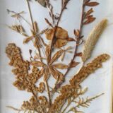 Pair of herbarium, flowers, butterfly