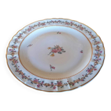 Dish