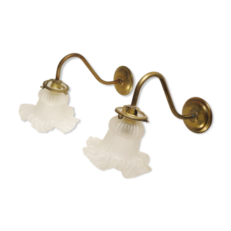 Pair of gooseneck wall lamps