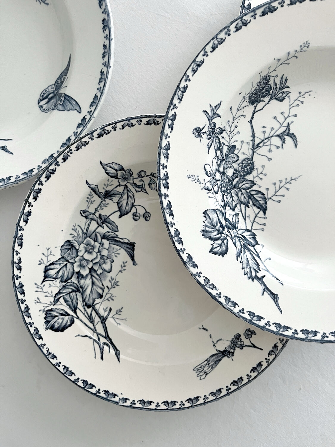 4 deep plates ironstone butterflies "Carmen" Sarreguemines