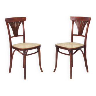 Pair Thonet chairs #221 around 1900, vintage, antique