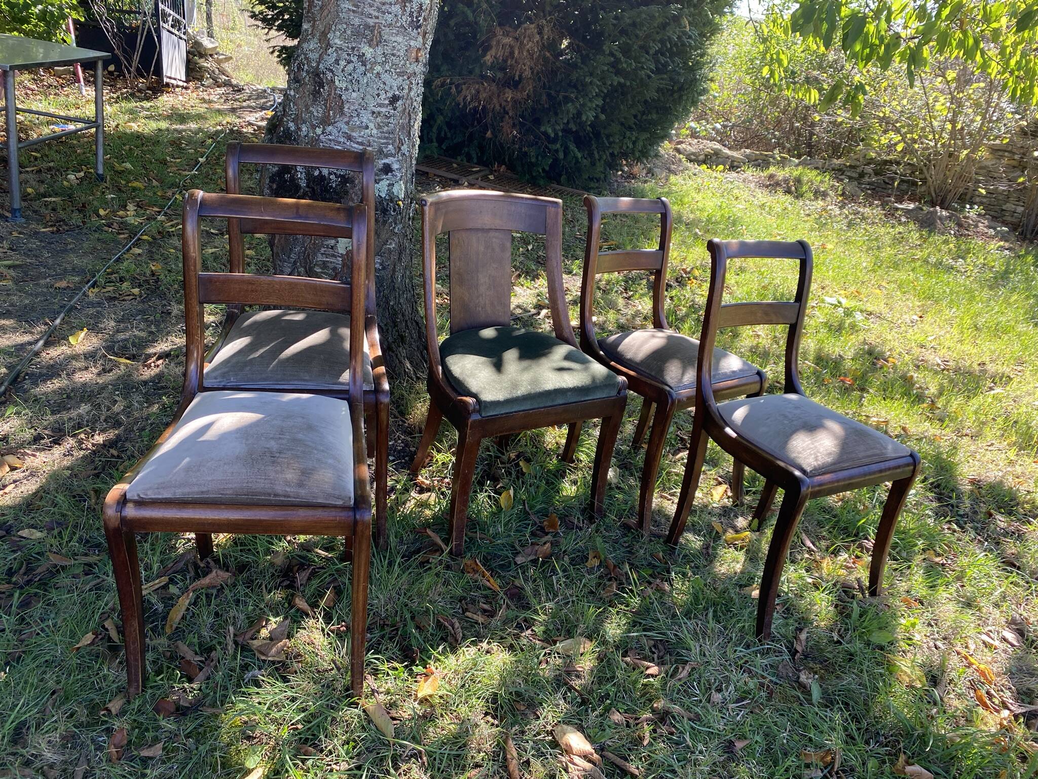 5 chairs