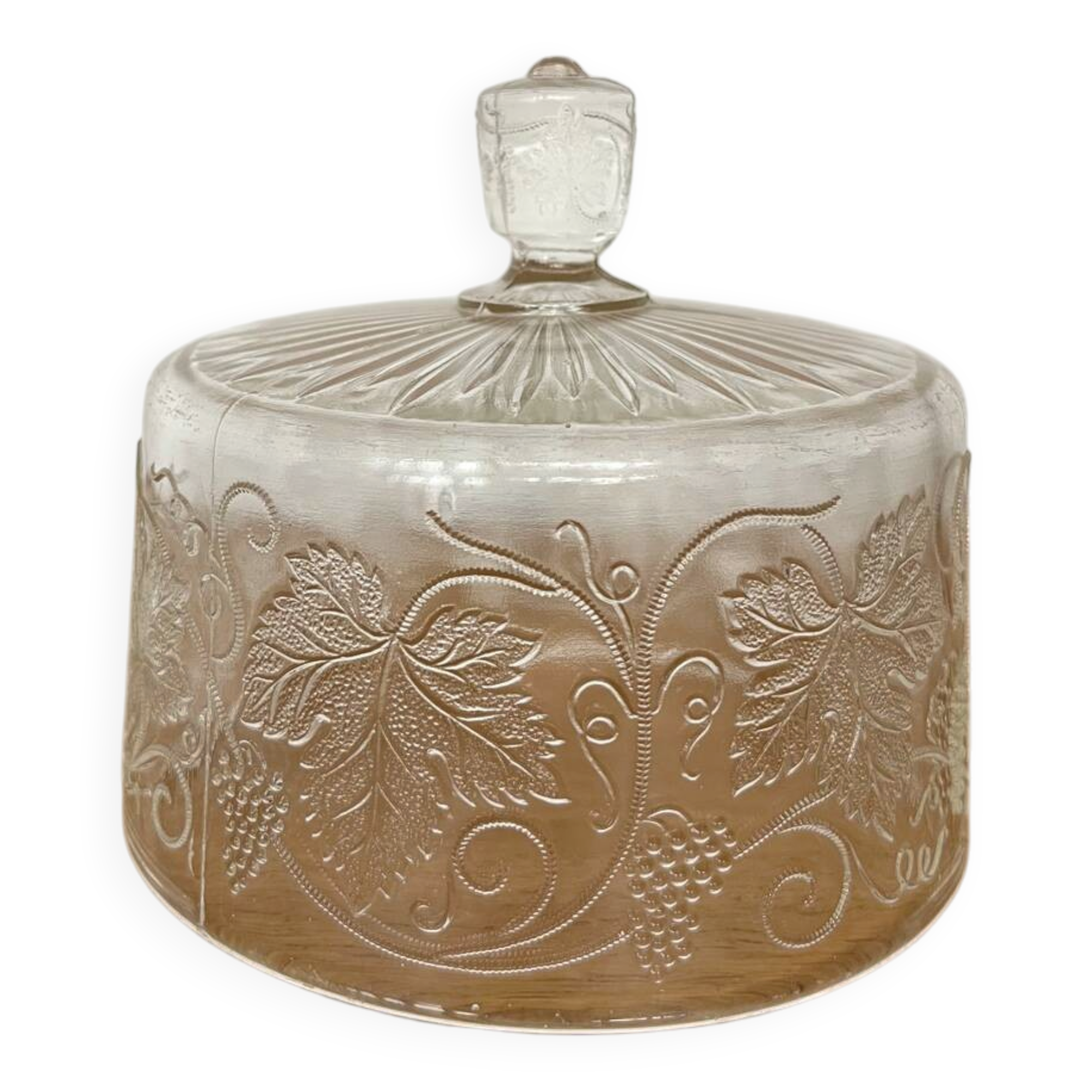 Cloche en verre ancienne décor vigne 