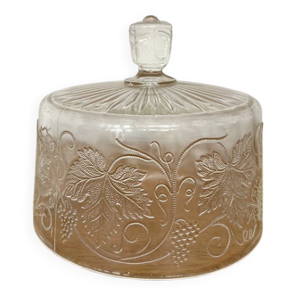Antique glass cloche with vine decoration