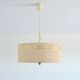 1960 vintage linear design suspension