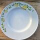 13 Richard Ginori flat and deep plates