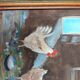 Painting, farmyard painting, hens signed