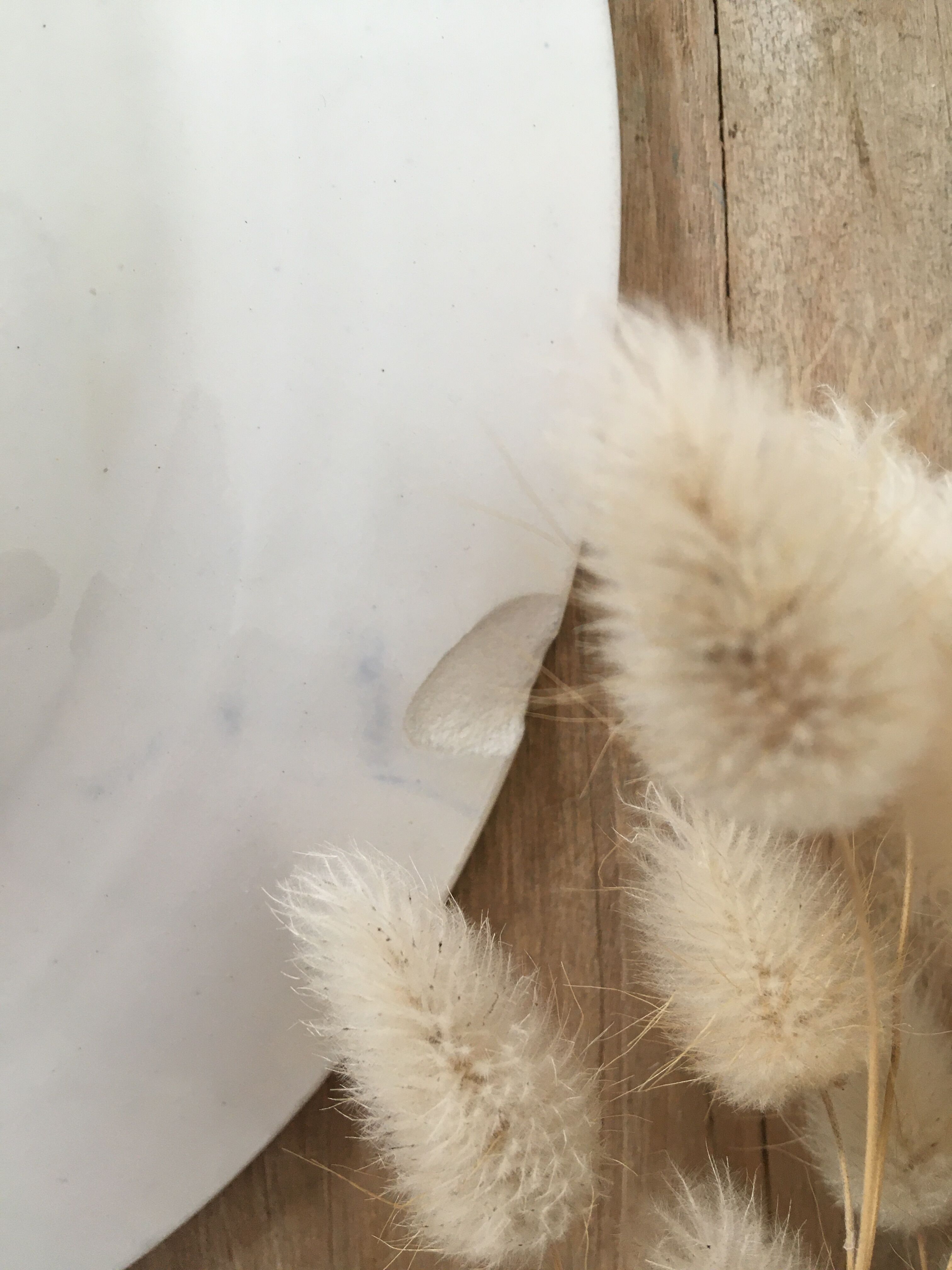 Blue & white mismatched flat plates