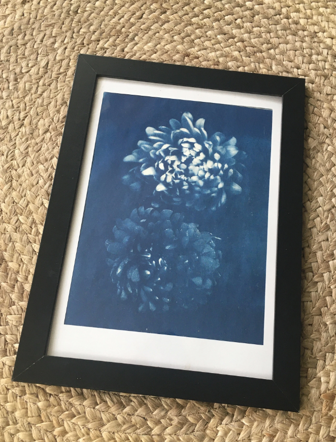 Cyanotype original a4 frameless flowers print