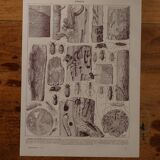 Original lithographs on trees