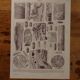 Lithographies originales sur les arbres
