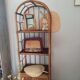 Rattan and bamboo library