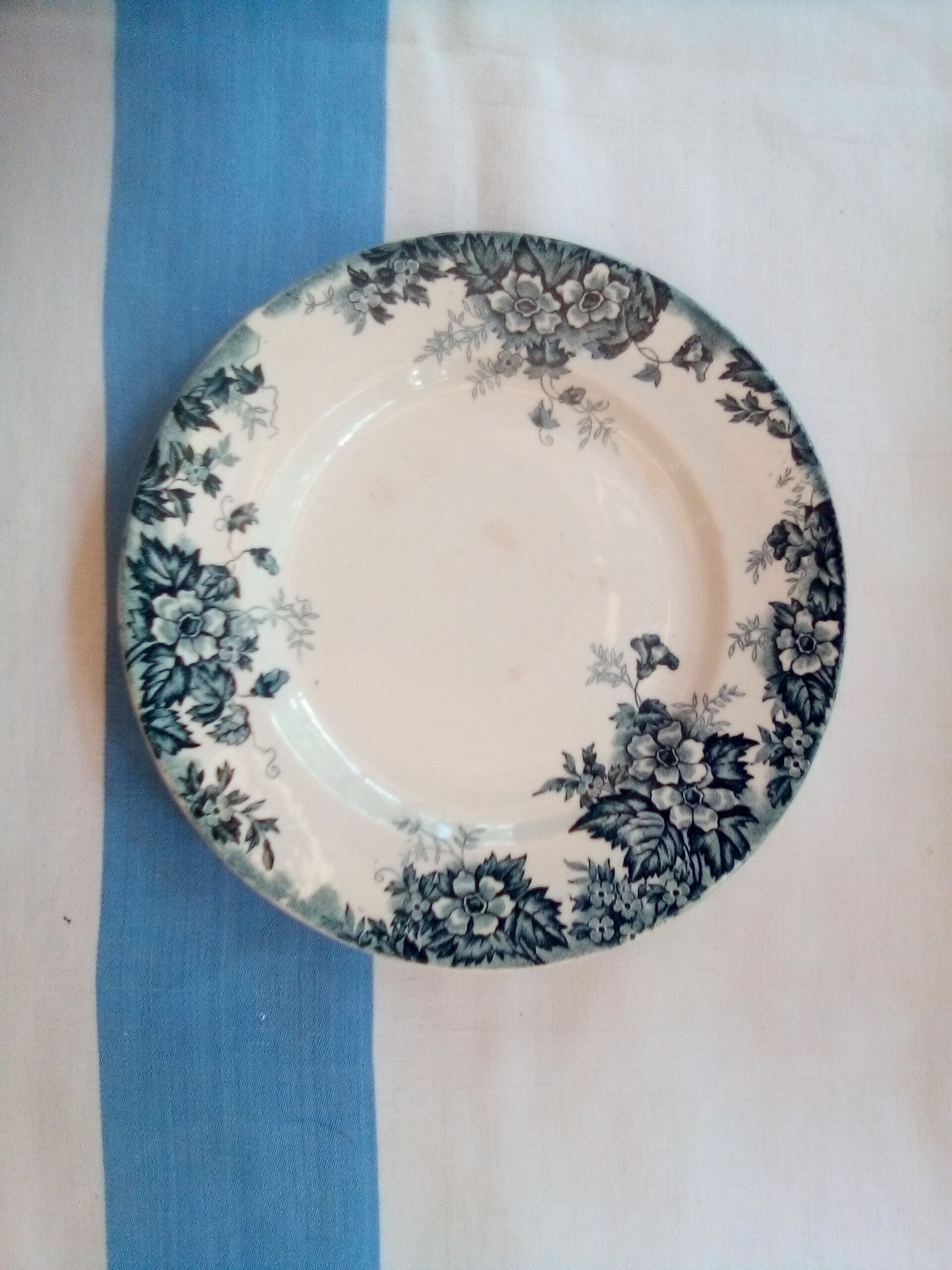 Assorted 18 old blue plates