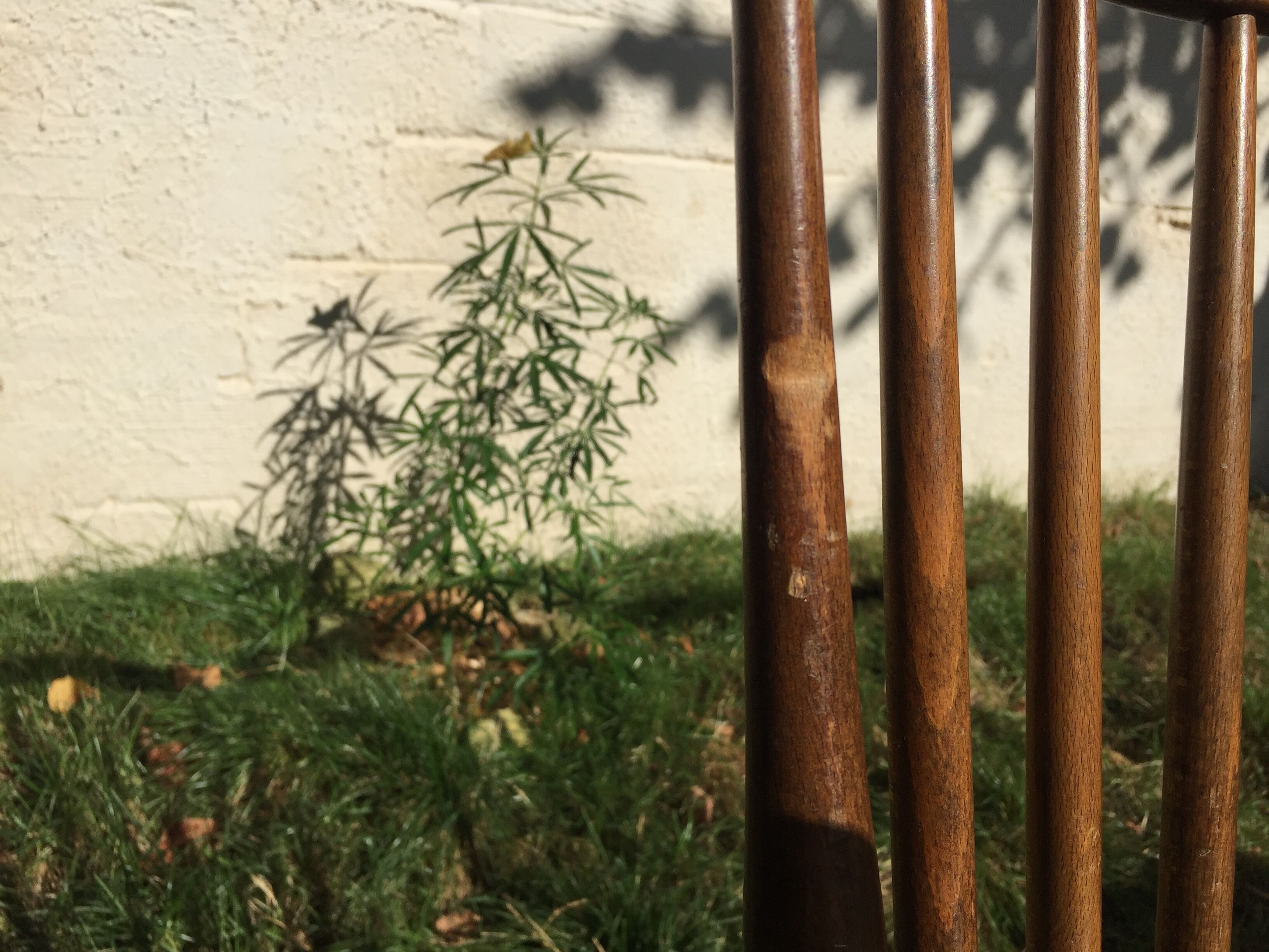 4 vintage wooden western chairs