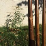 4 vintage wooden western chairs