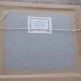 Lithograph Julian Friers – Peregrine Falcon at Glencoe – Framed painting