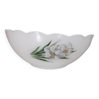 Arcopal narcissus salad bowl
