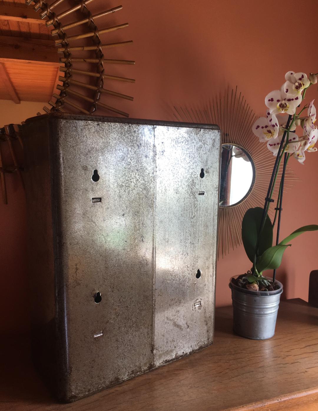 Industrial pharmacy cabinet 1950-1960