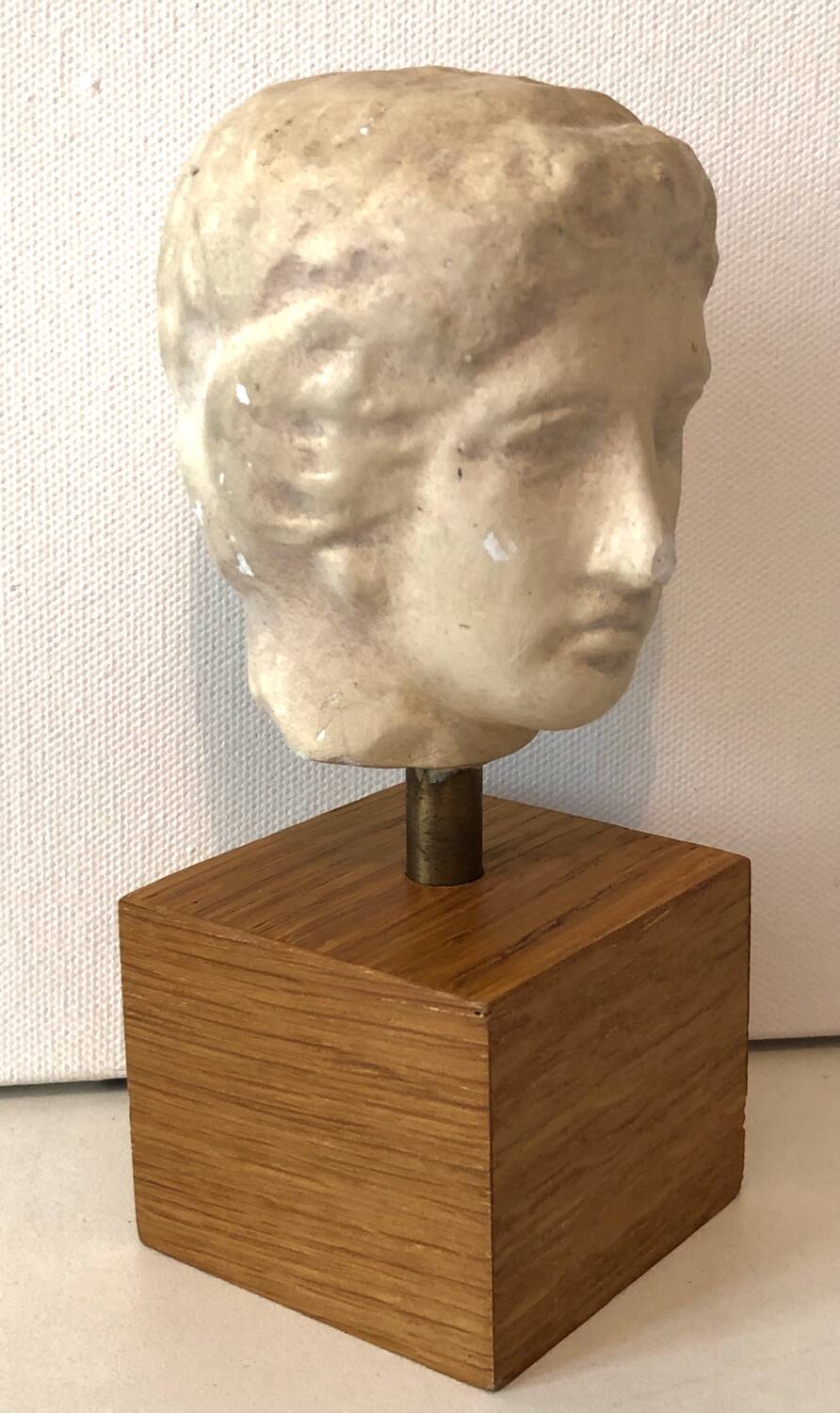 Plaster Head Greek Man