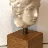 Plaster Head Greek Man