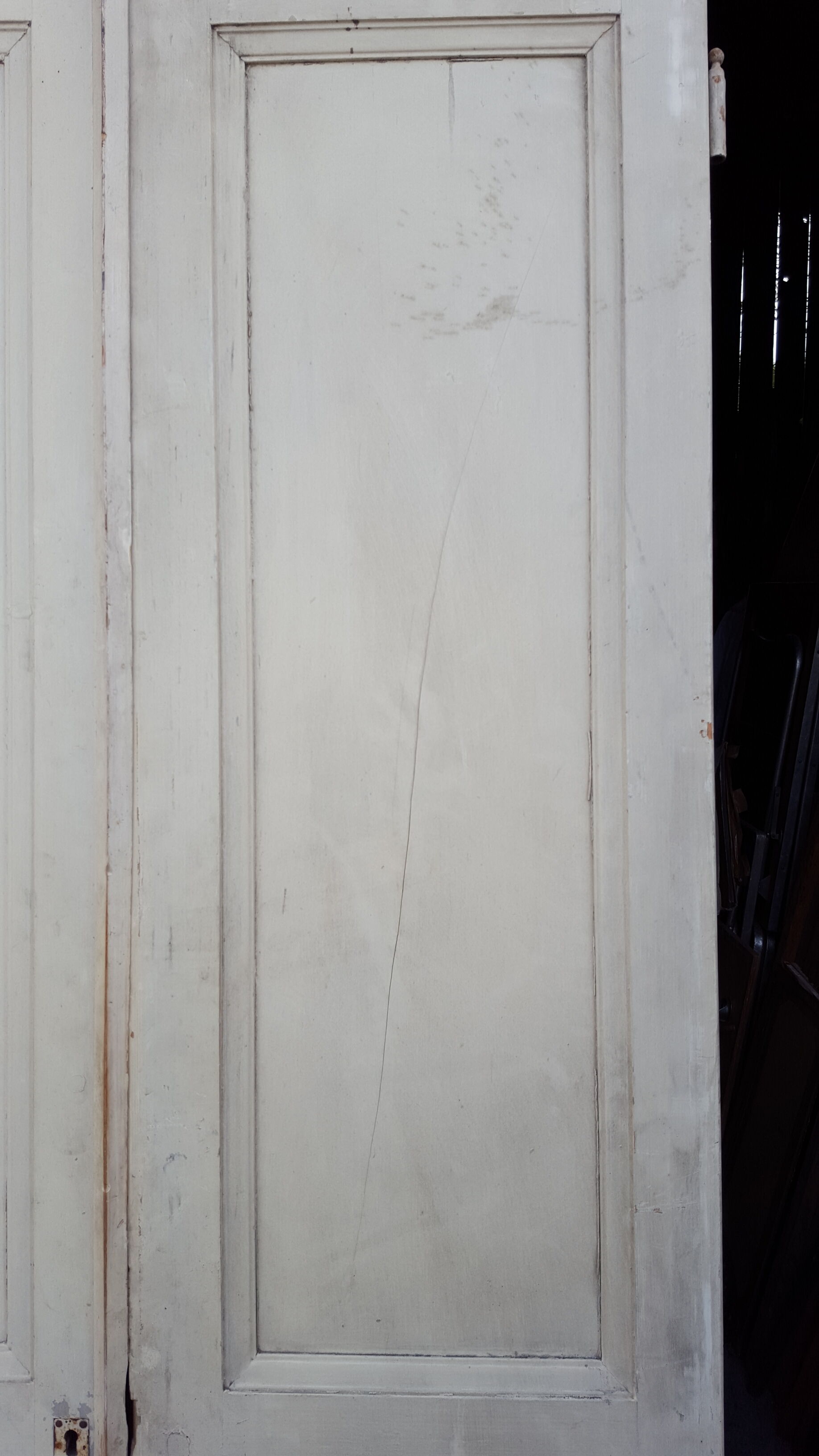 Paire de portes de séparation patine blanche d'origine moulures