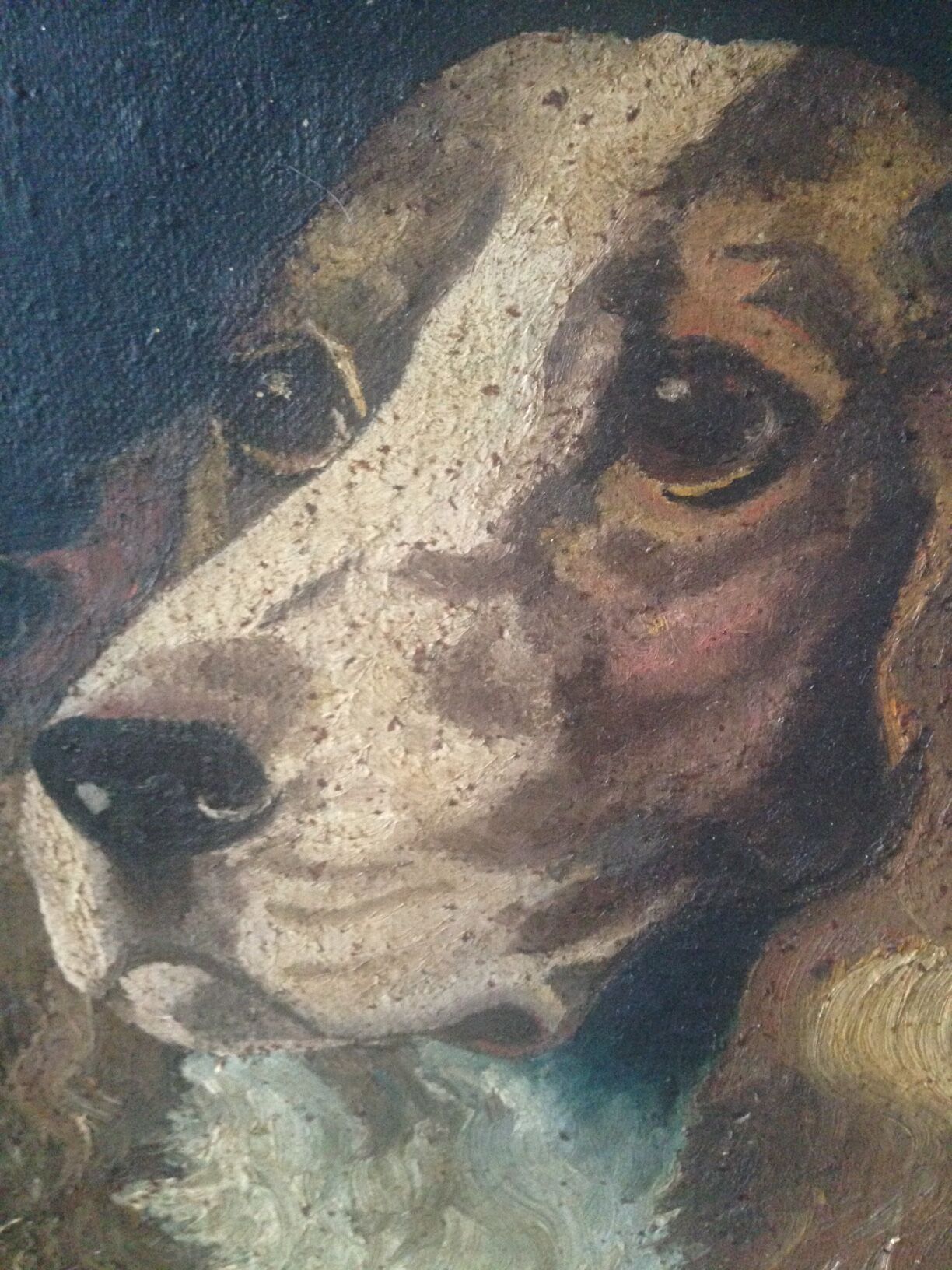 Portrait of a dog