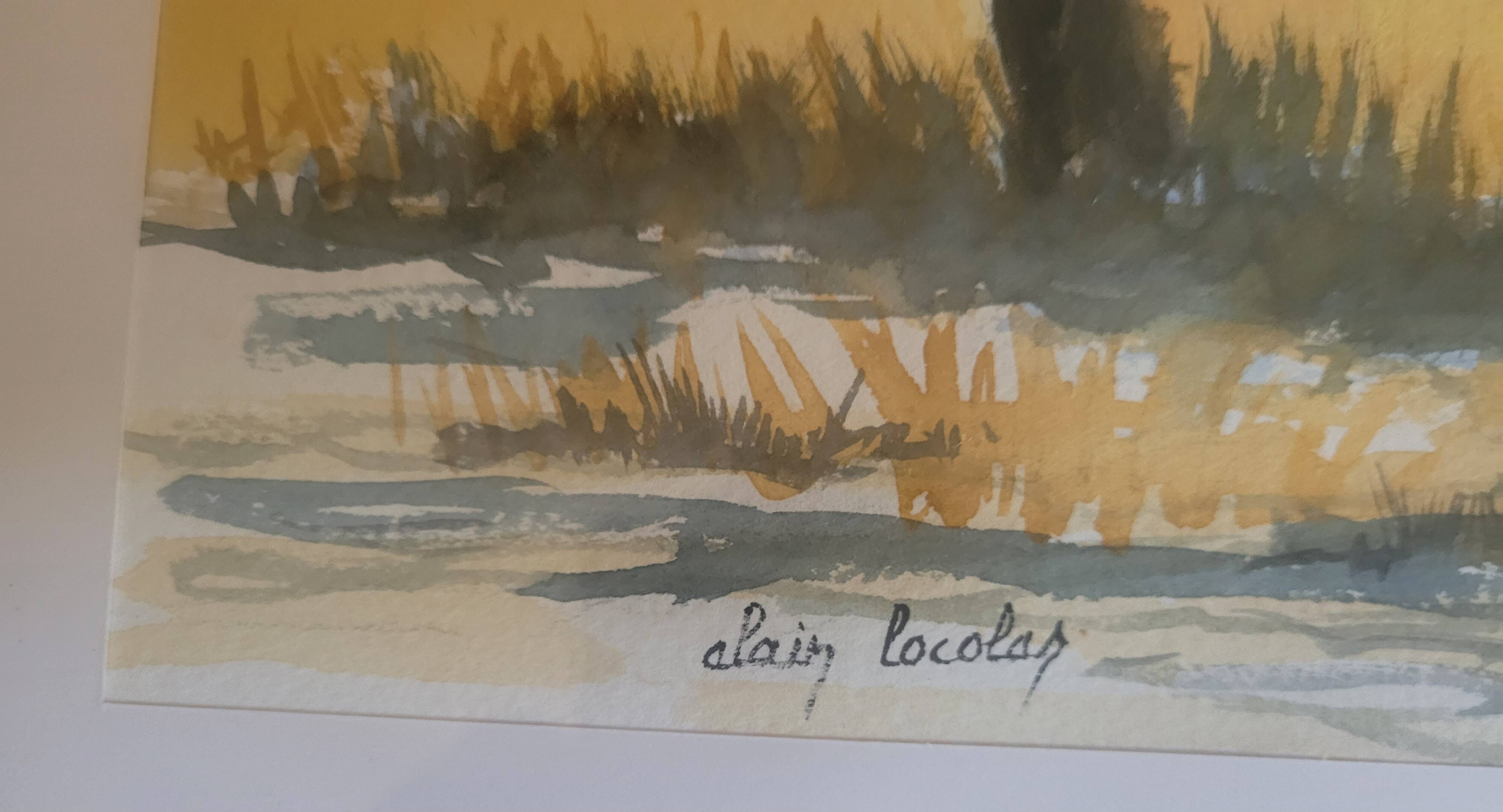 Watercolor cherry blossoms