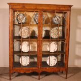 19th Century Mahogany and Burr Walnut Display Cabinet with Lighting