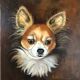 Oil on canvas dog portrait
