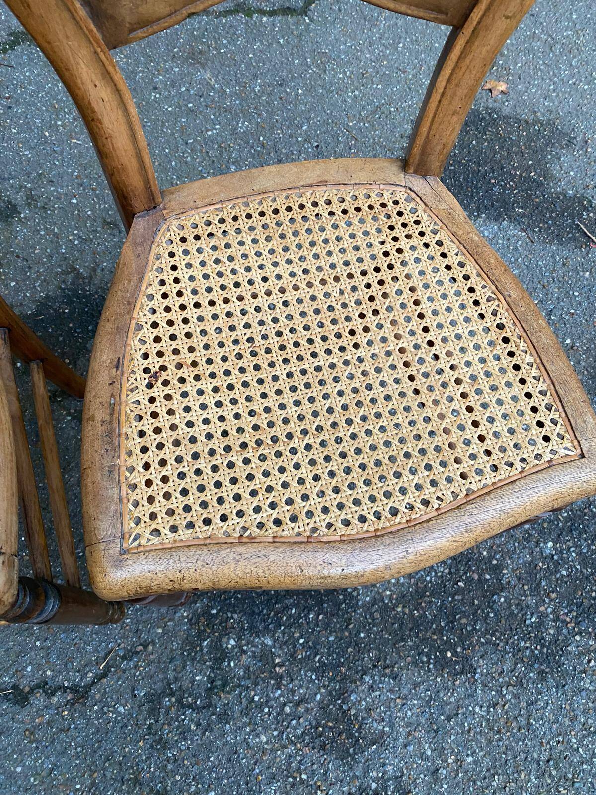 Two Louis Philippe cane chairs in solid carved wood from the 20th century