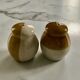 Ceramic salt and pepper shaker set