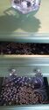 Vintage chest of drawers, restored